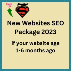 New Website SEO Package